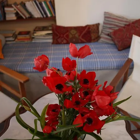 Kyra Vintage Old Town Apartment *